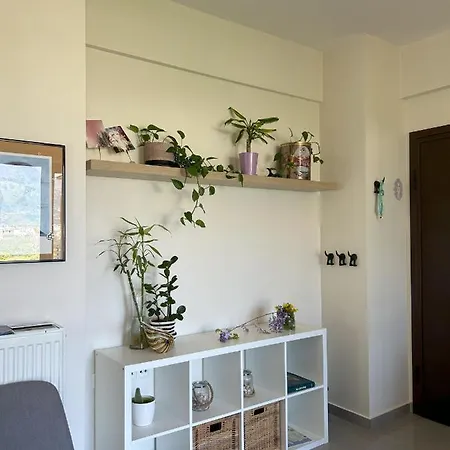 ηλιόλουστο διαμέρισμα/ Sunny Apartment Kalamata